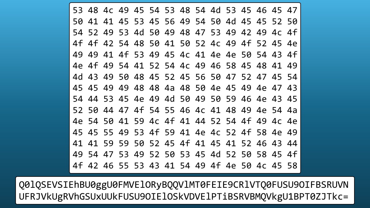 Ridgebacknet website CTF